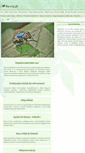 Mobile Screenshot of ika.org.pl